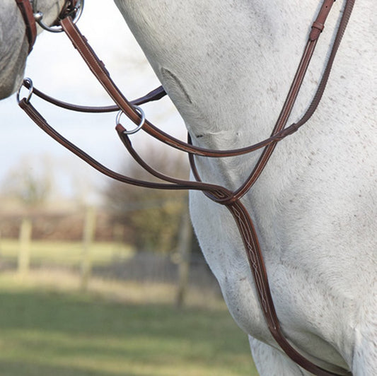 Shires Avignon running martingale