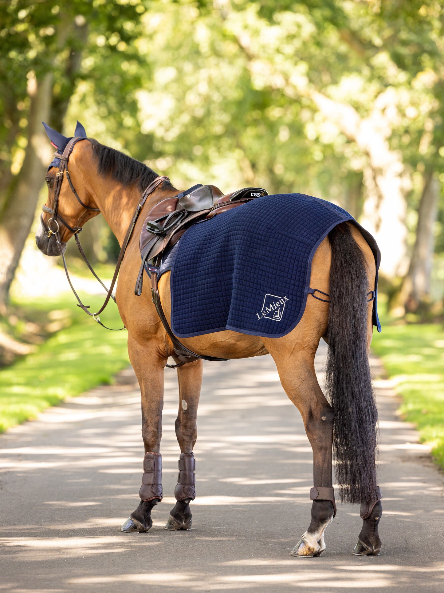 The multi-layered structure of the LeMieux Clima-Tek exercise sheet has a unique fabric blend, making it perfect for moisture management on the move. This structure controls muscle temperature during the cooling process, allowing for effective moisture
