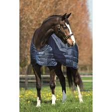 Horseware liner 200g SIZE 75