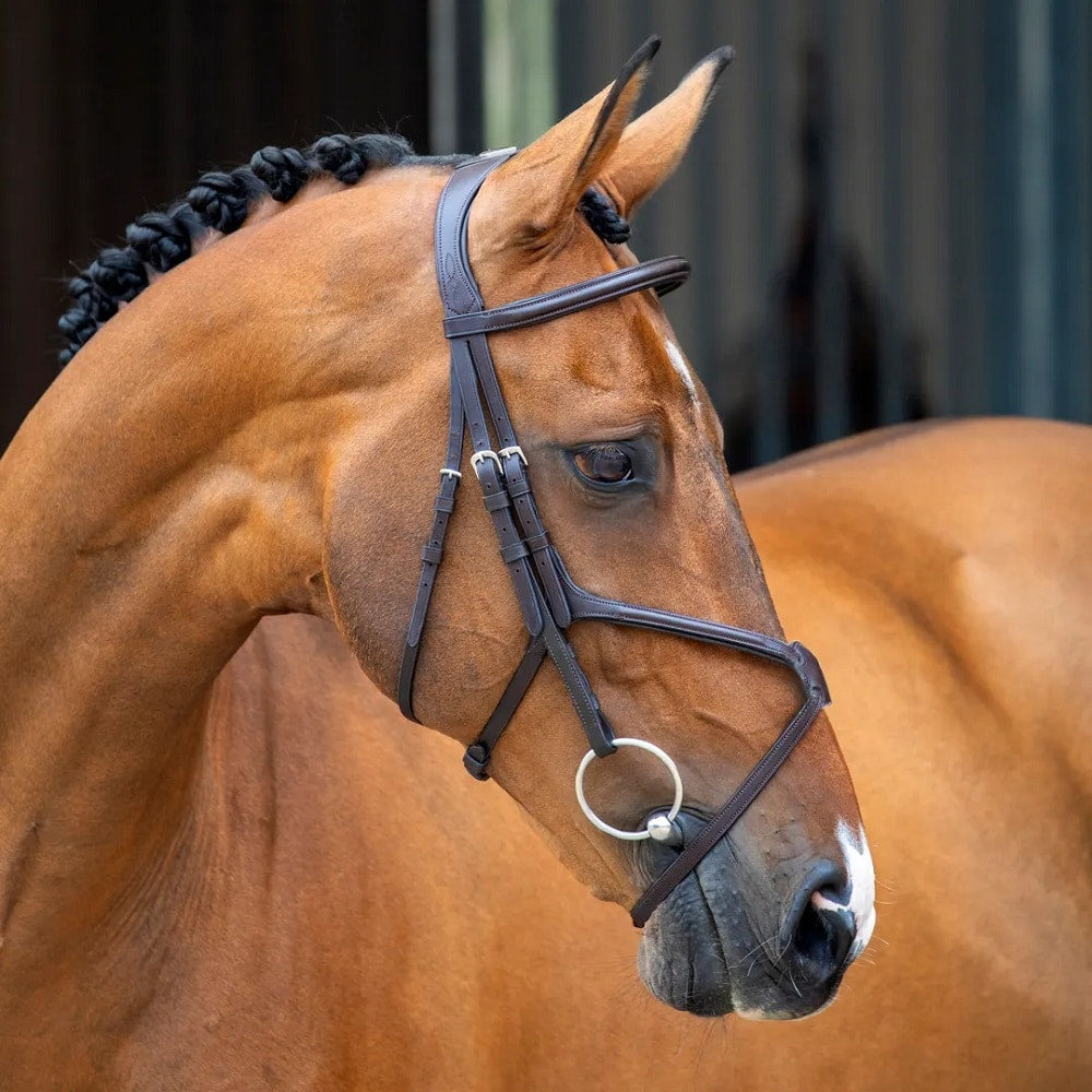Lusso Velociti Grackle bridle -Figure 8 -Full