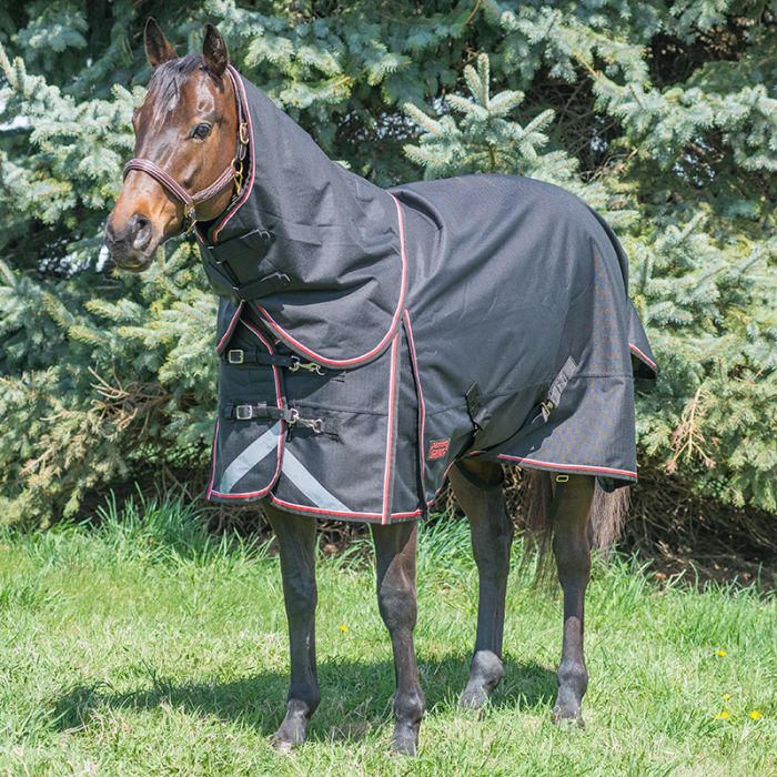 Canadian Horseware Maxim turnout 300g full neck rug