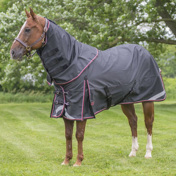 Couverture Canadian Horseware EZ Snug Neck & Wither Relief 300 g