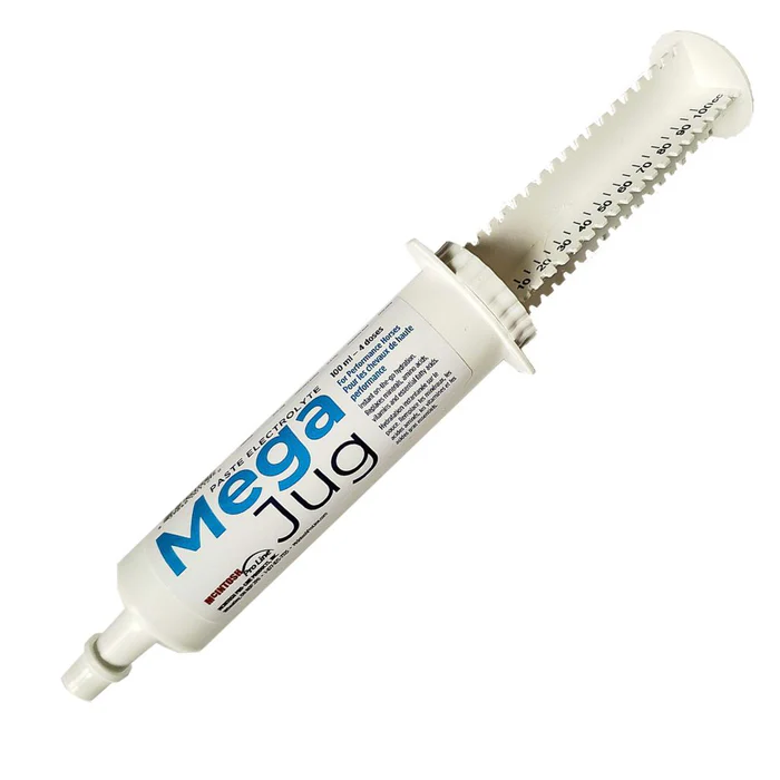 Pâte électrolytique méga pichet