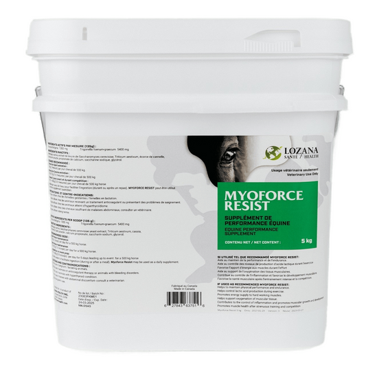 Lozana Health Myoforce résiste au supplément
