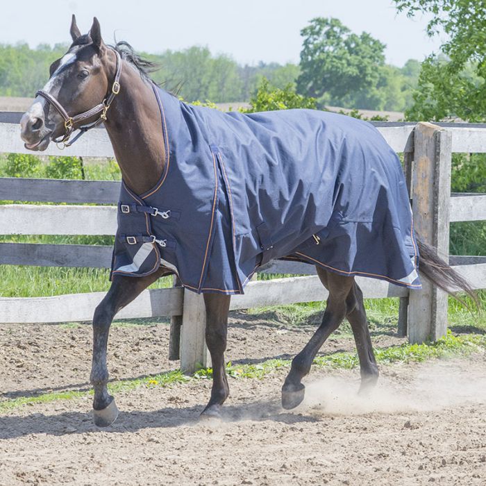 Canadian Horseware Maxim 0g rainsheet