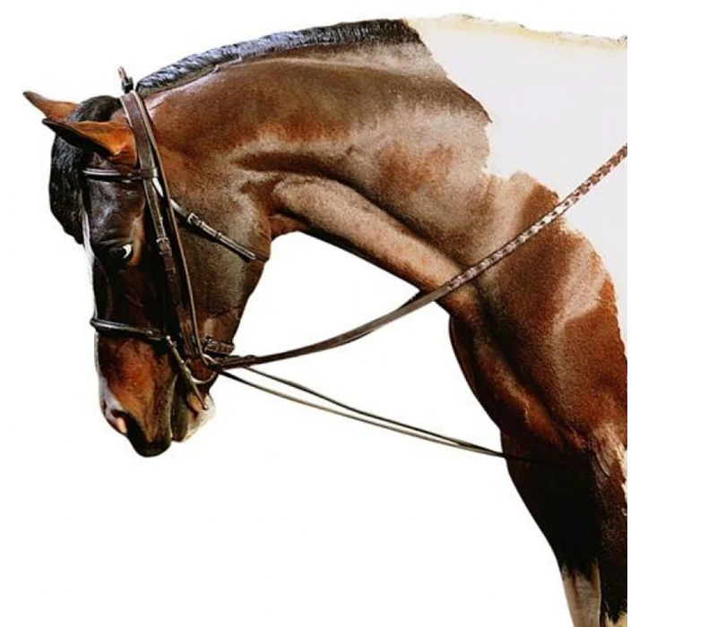 Cavalier concurrent neckflexer