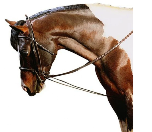 Cavalier contender neckflexer