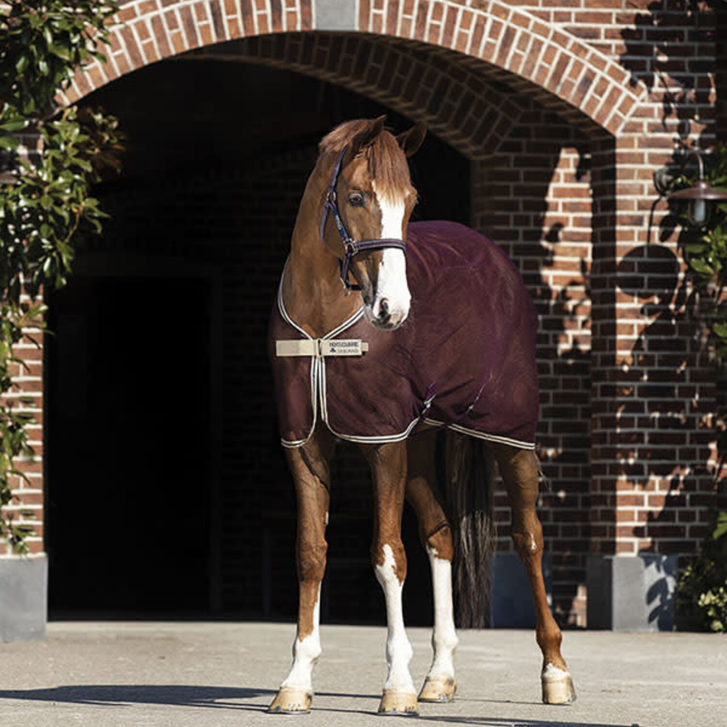 A cool customer! The Amigo® Net Cooler (No Fill) is a super lightweight, breathable cooler which increases airflow around the body allowing the horse to dry off quicker. Sporting a featherlight textured polyeter net fabric, the Amigo® Net Cooler features