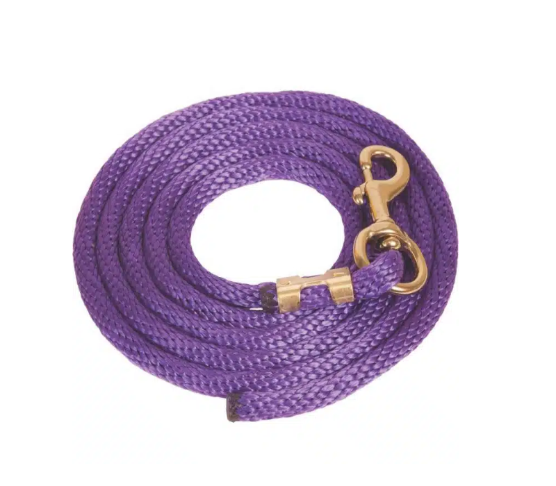 Corde de plomb Ger-ryan poly 10' avec mousqueton plaqué laiton