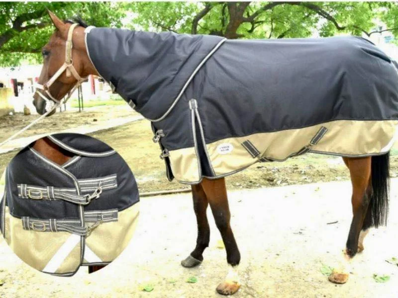 Umber Wear 300g Winter Turnout blanket with detachable neck