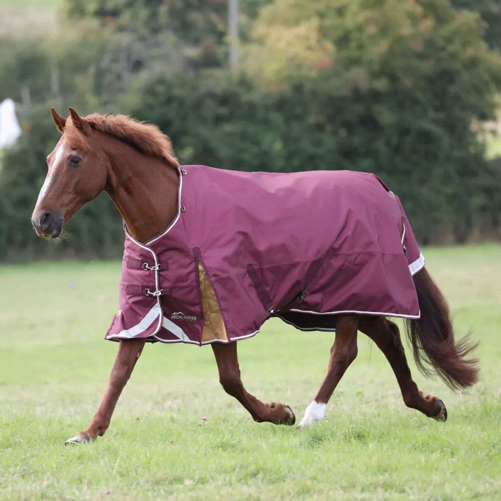 Shires Highlander plus col standard 100 g