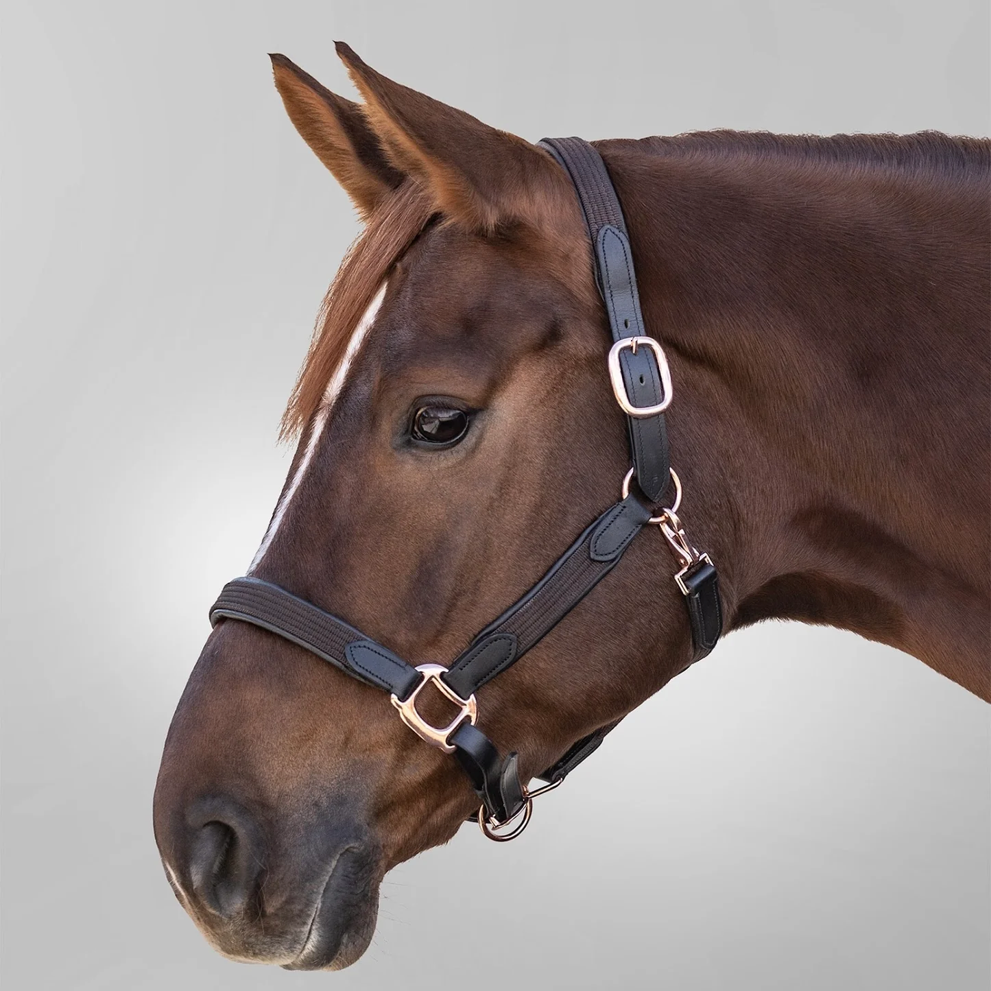 Star Mix halter - Rosegold