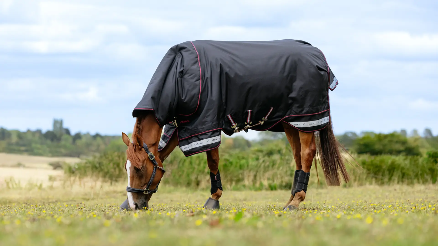 LeMieux Arika Storm-tek turnout rug - 200g