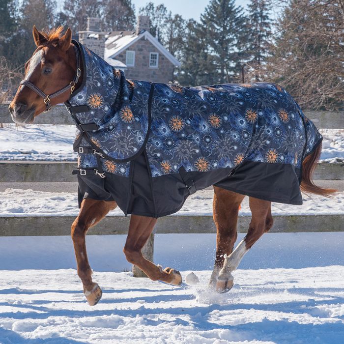 Canadian Horsewear pony turnout rug