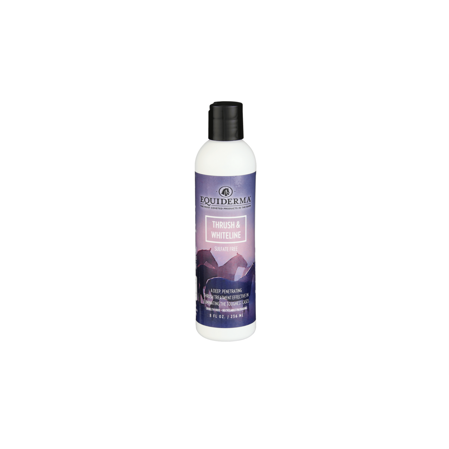 Grive équidermique et ligne blanche