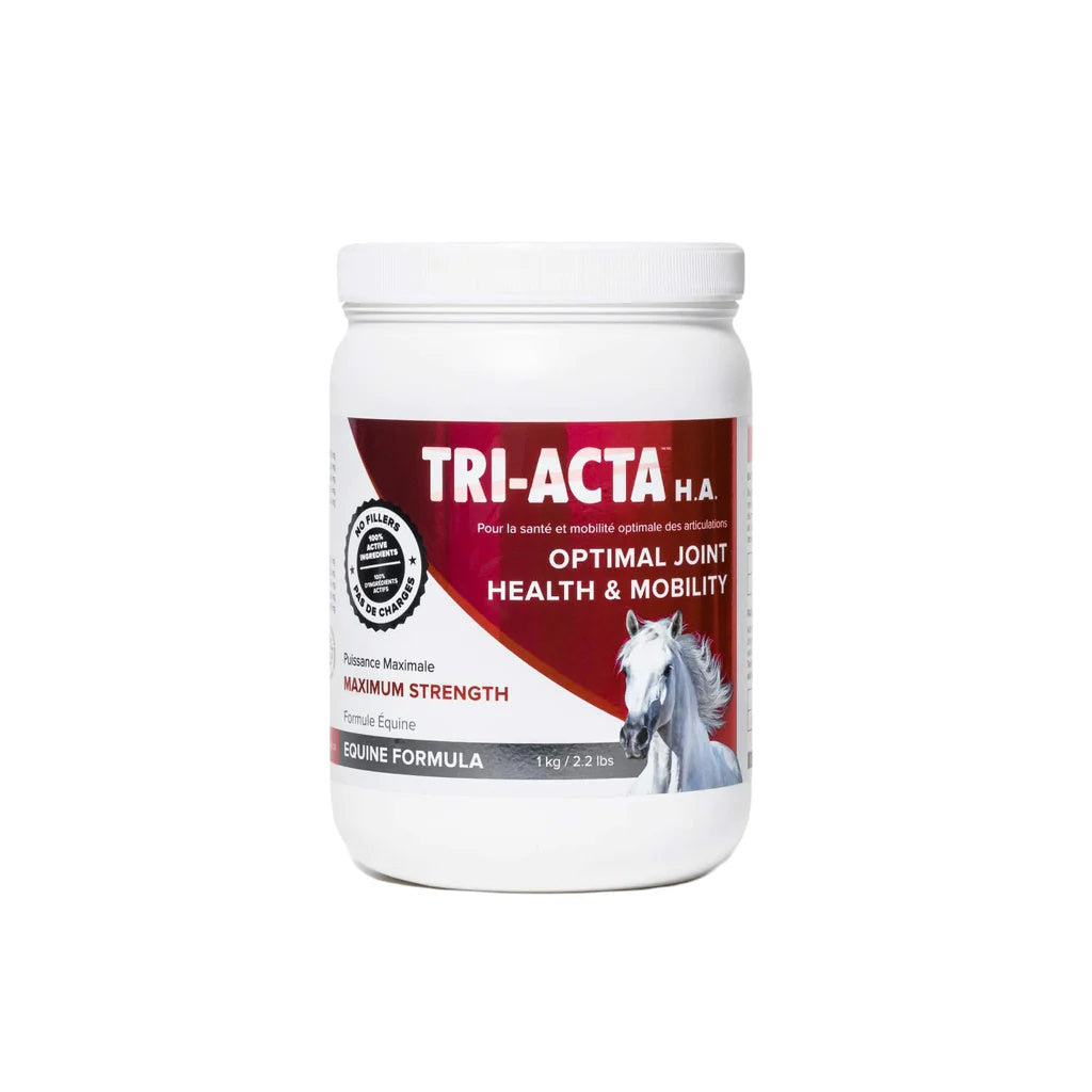 Built off the success and science-driven formula of TRI-ACTA Regular Strength, our Maximum Strength formula provides your horse with the same benefits, but with the added support of a highly therapeutic, equine-specific hyaluronic acid. We recommend the