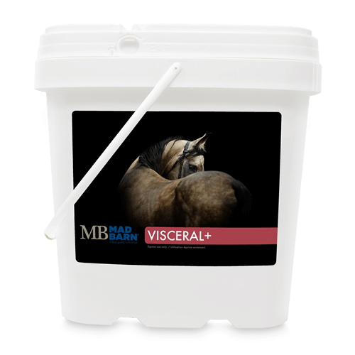 Mad Barn Visceral+ PAS DE LIVRAISON