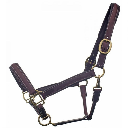 Ger-ryan raised and padded leather halter