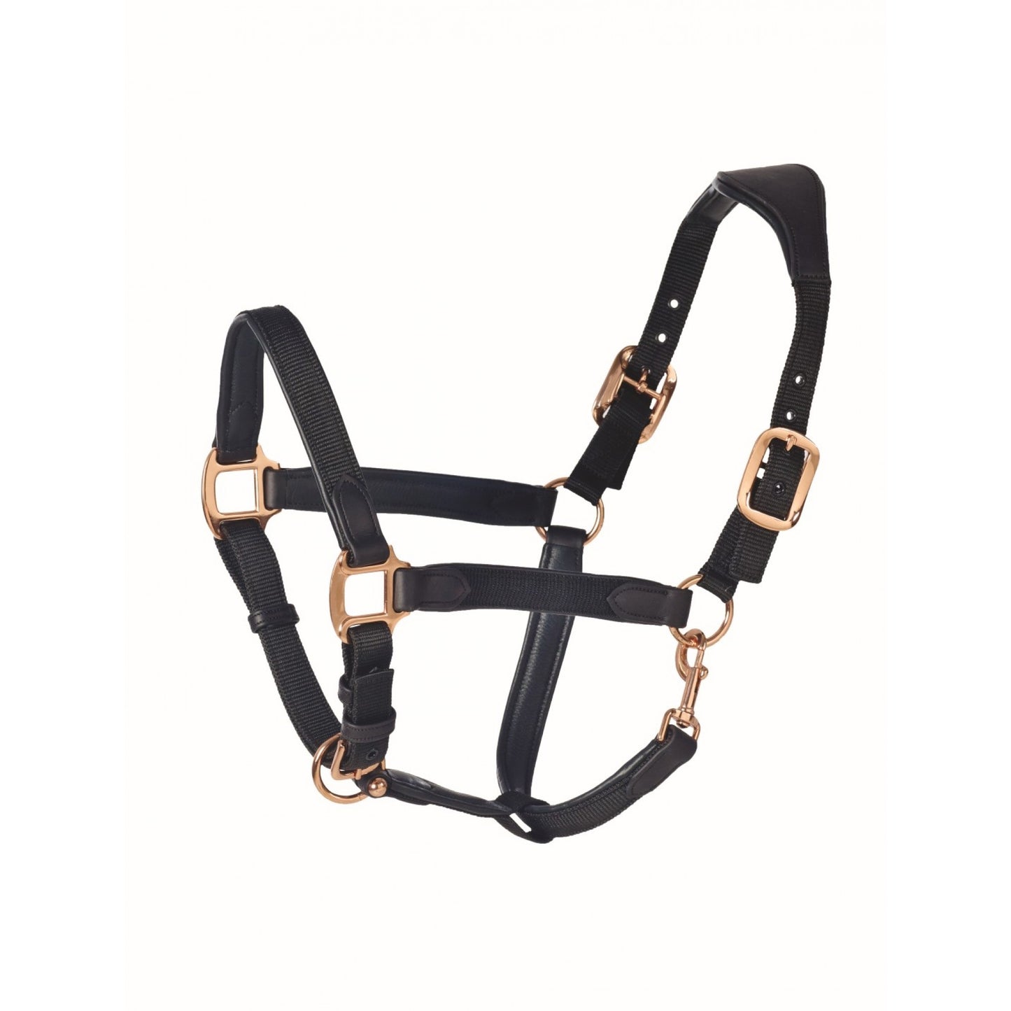 Licol flexible à coussin Ovation Luxor