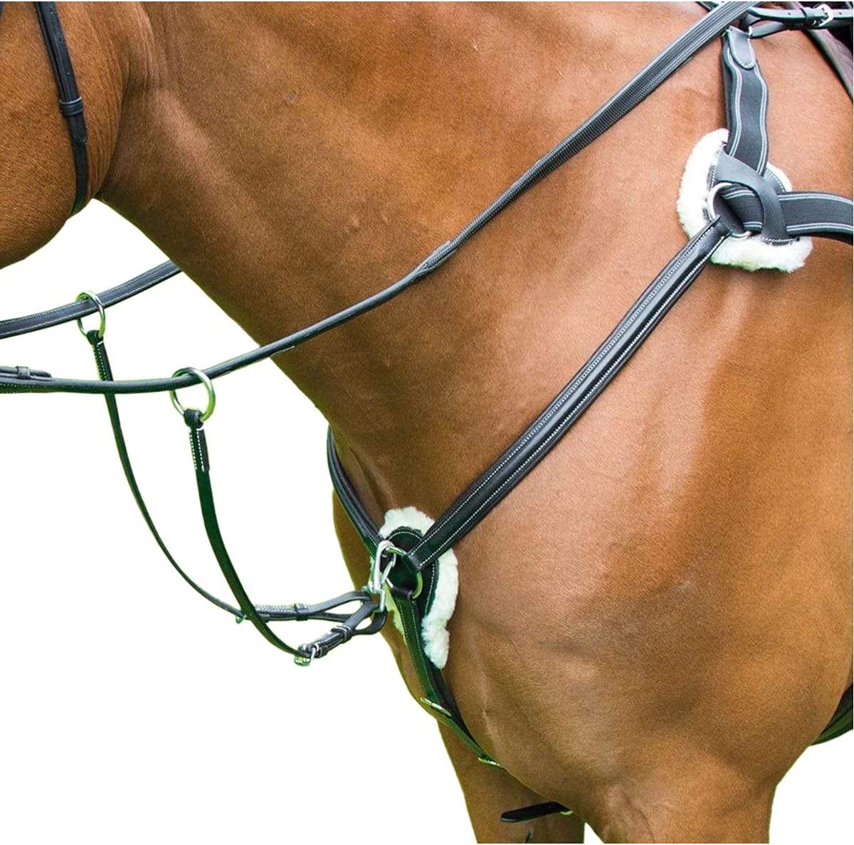 Shires Avignon five point breastplate