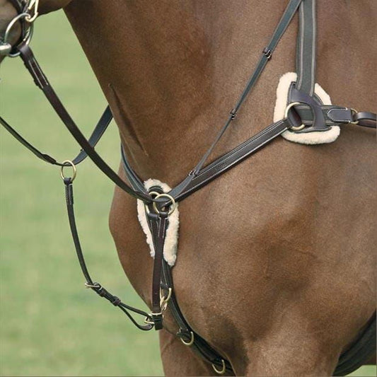 Shires Avignon five point breastplate