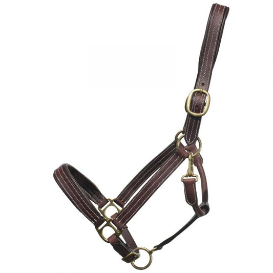 Ger-ryan leather stitched padded halter