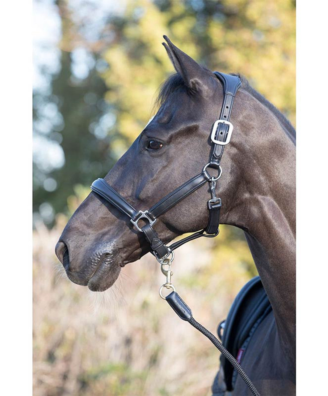 LeMieux Anatomic leather headcollar