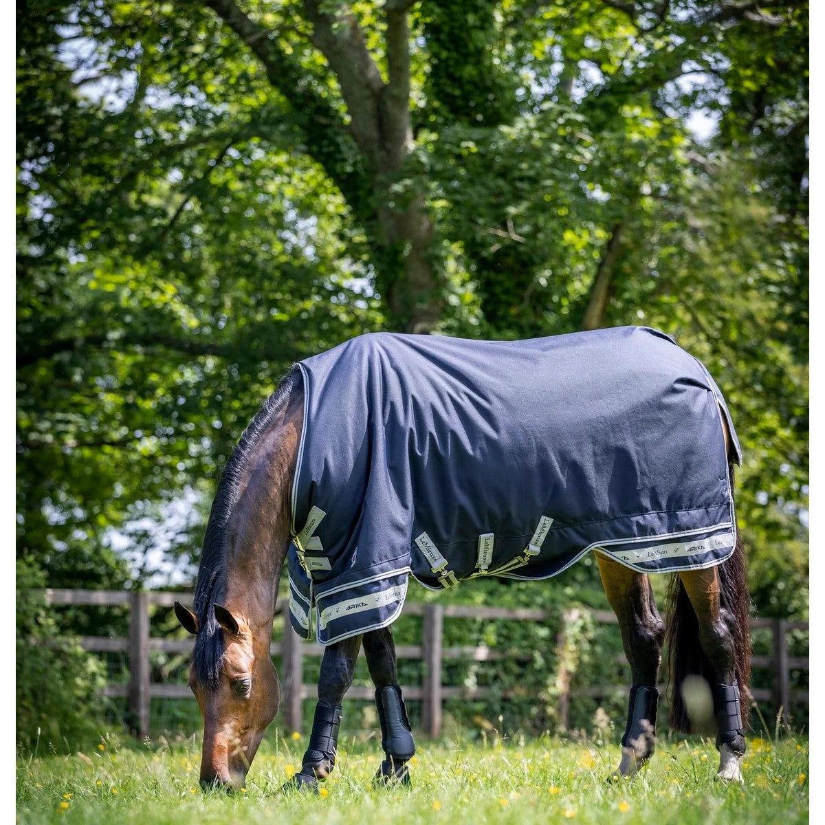 LeMieux Arika lightweight 0g rainsheet