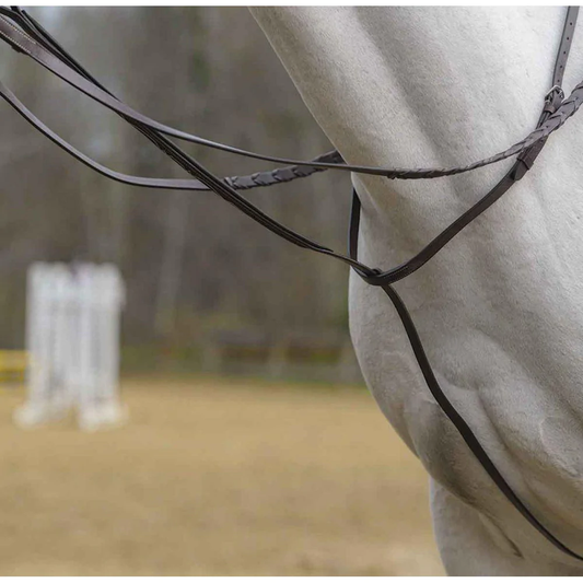Shires Avignon standing martingale