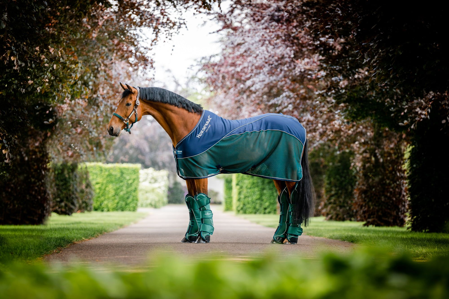 We carry a large selection of high-quality horse training, horse care, and horse riding supplies. 