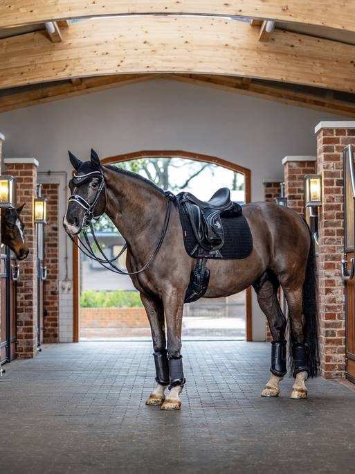 We carry a large selection of high-quality horse training, horse care, and horse riding supplies. 