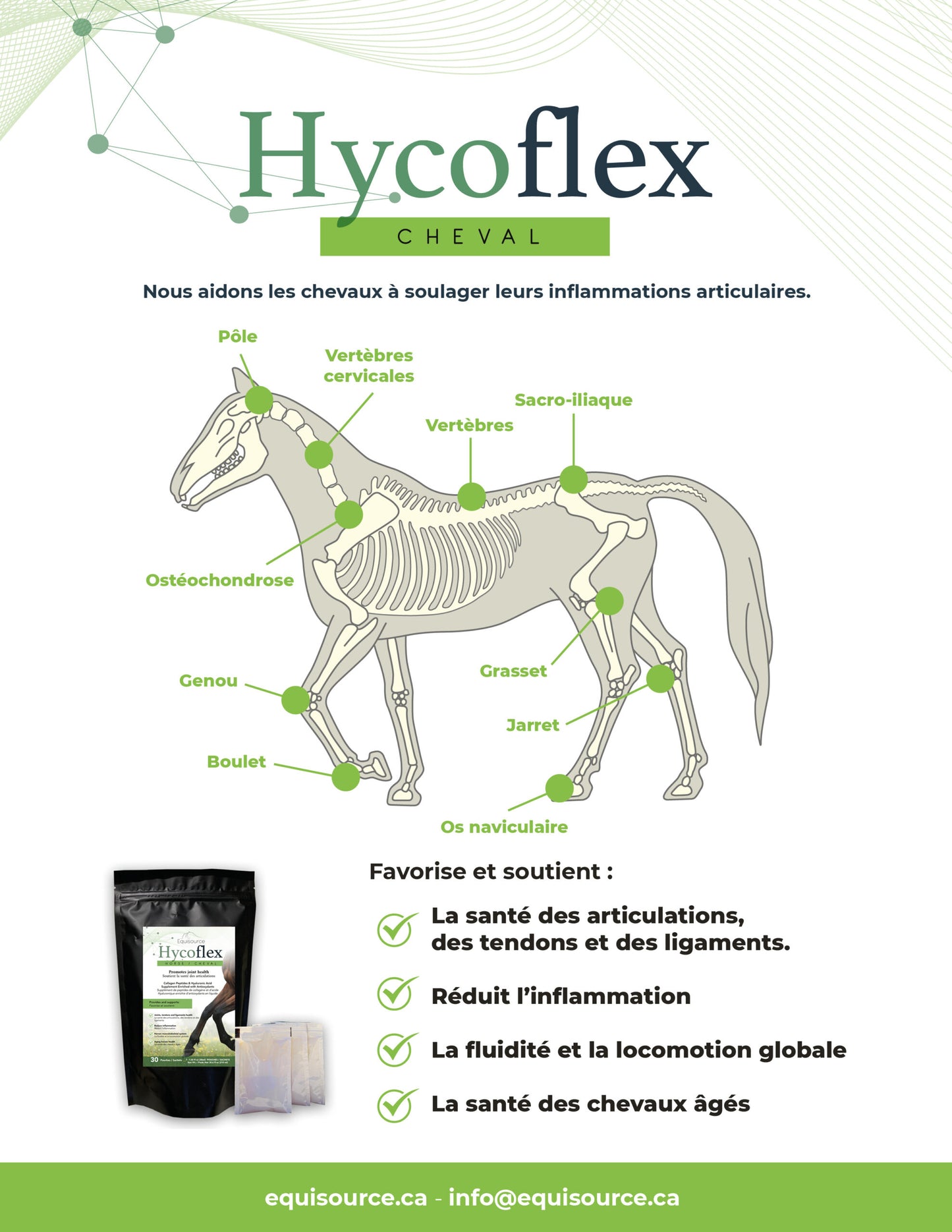 Hycoflex Horse Health supplement