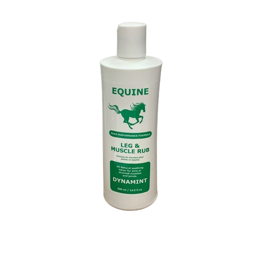 Equine équin dynamint liniment