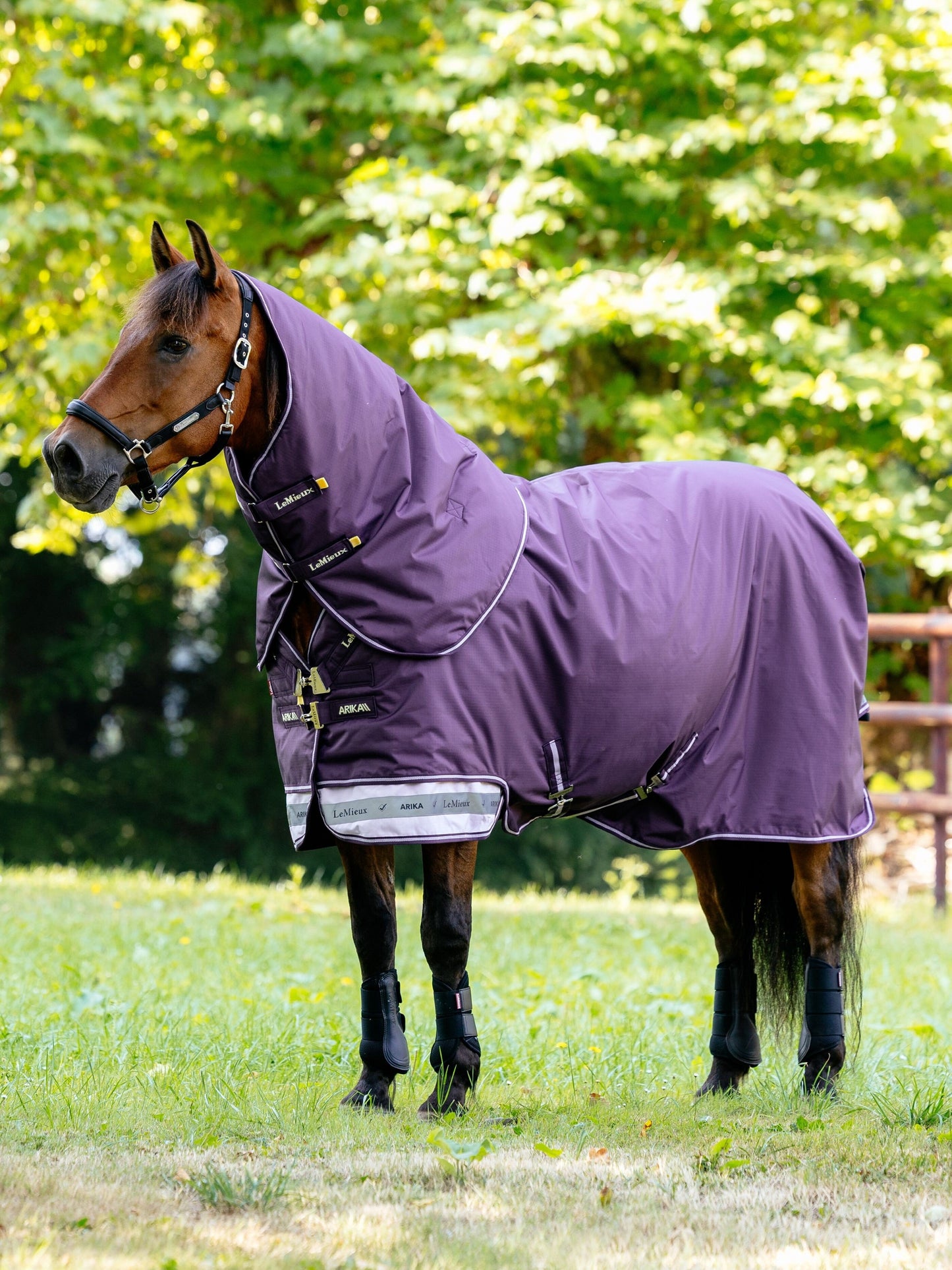 LeMieux Arika Ripstop turnout rug - 100g