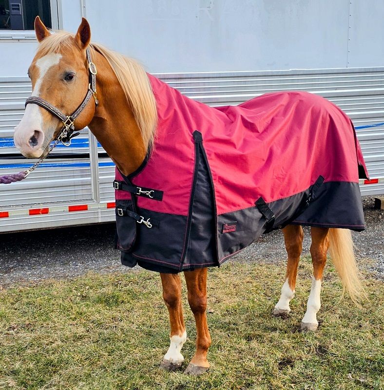 Canadian Horseware Maxim 0g rainsheet