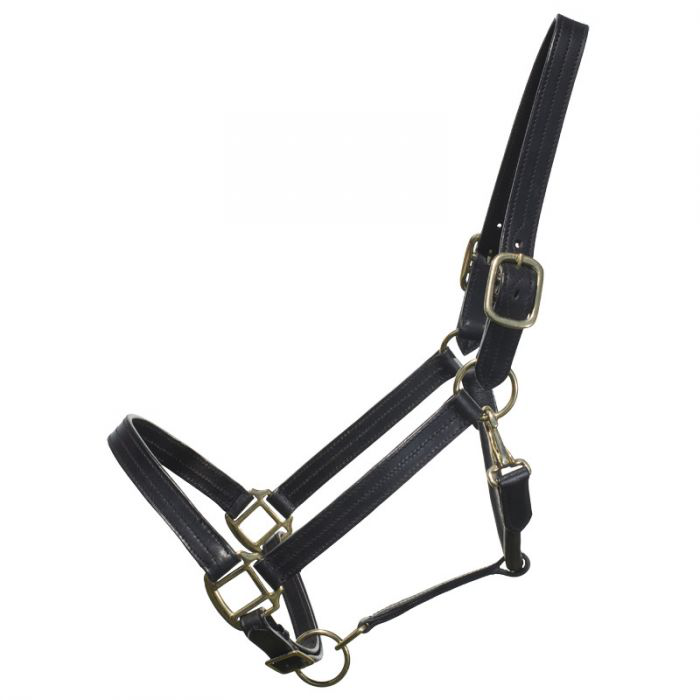 Ger-ryan raised and padded leather halter