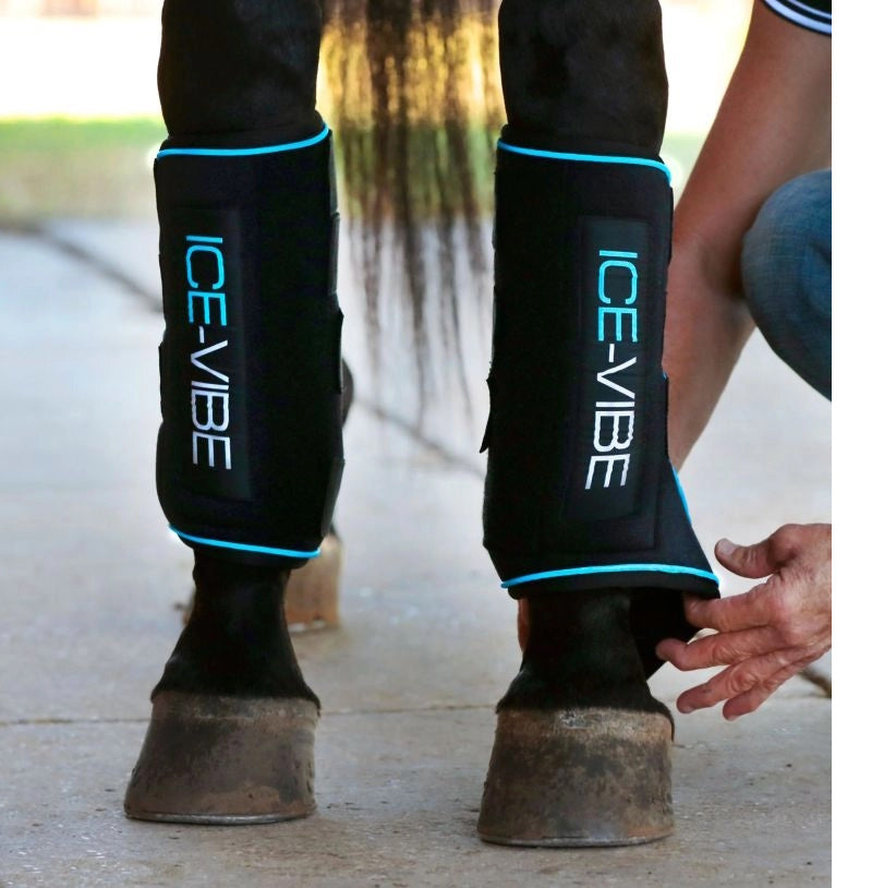 Bottes Horseware IceVibe