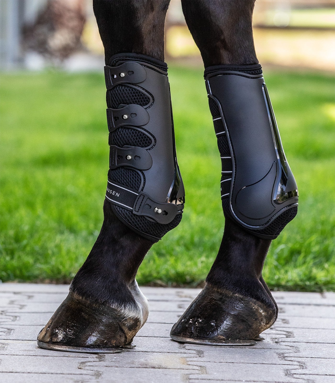 Waldhausen Breath tendon boots