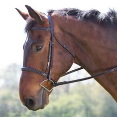 Ger-ryan raised sofly padded bridle with reins - Full