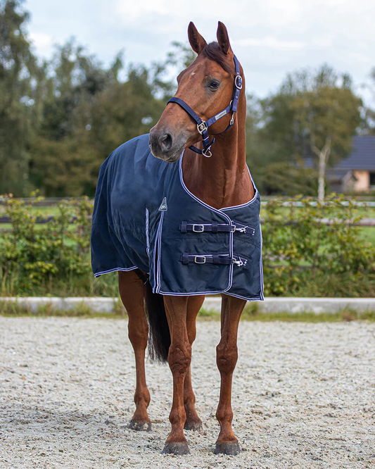 QHP Luxury 50g turnout rug