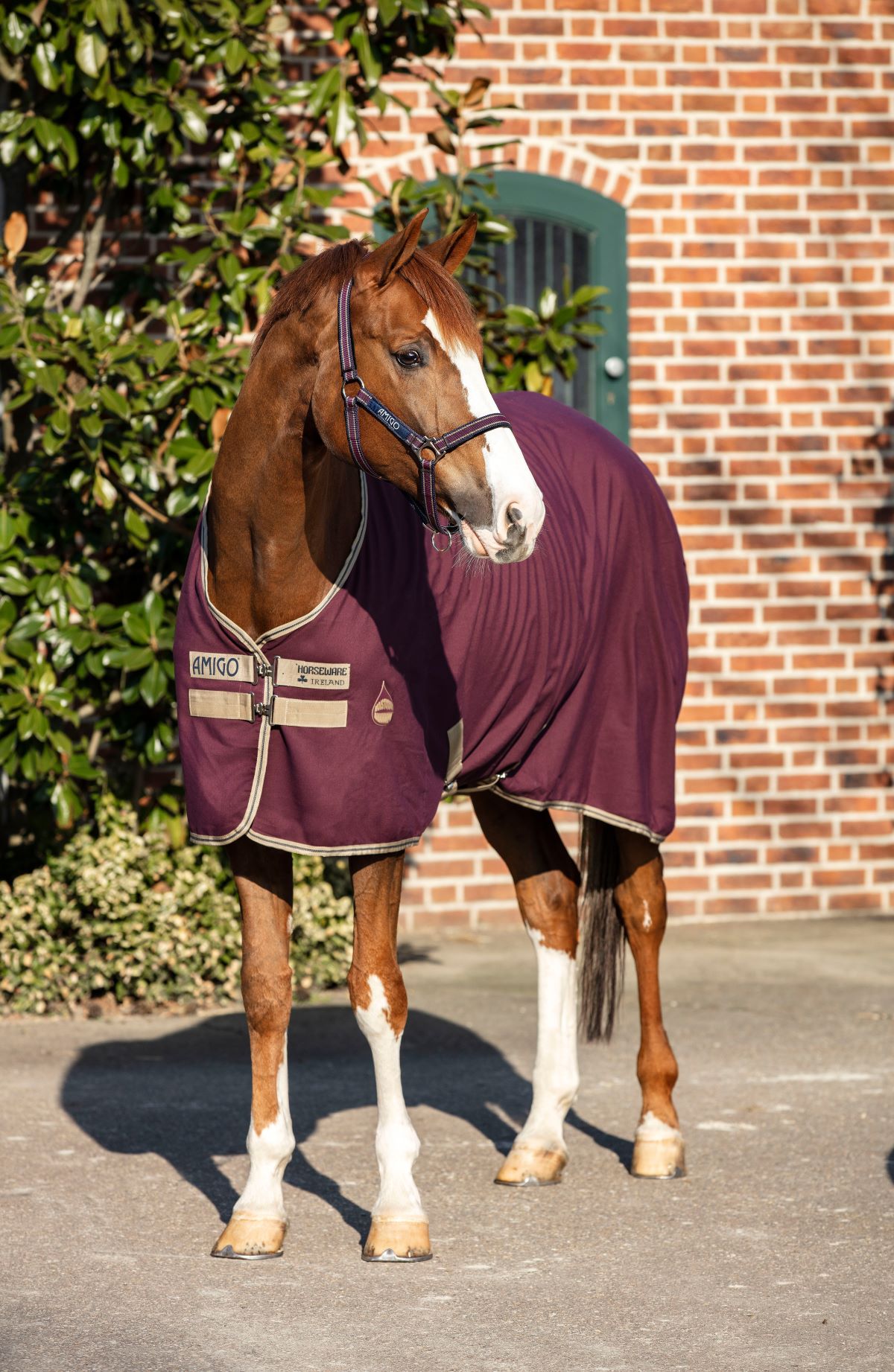 Ireland HorseWare Amigo stable sheet