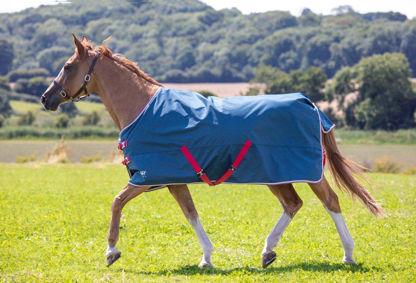 Shires Tempest Original Lite Turnout rainsheet