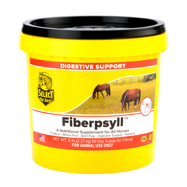 Select The Best Fiberpsyll NO SHIPPING