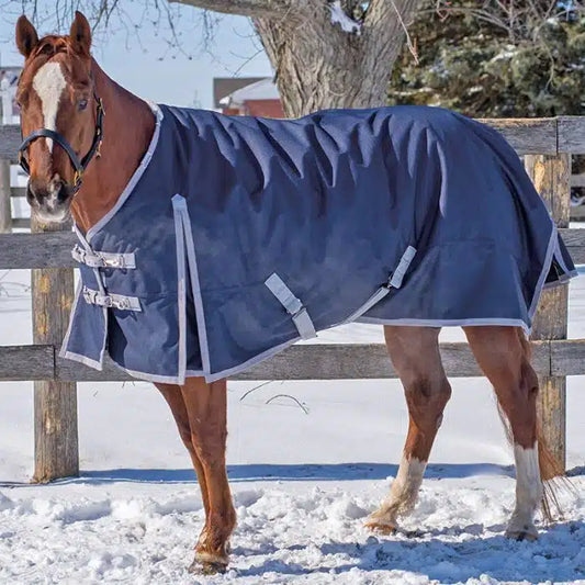 Canadian Horsewear 160g standard neck