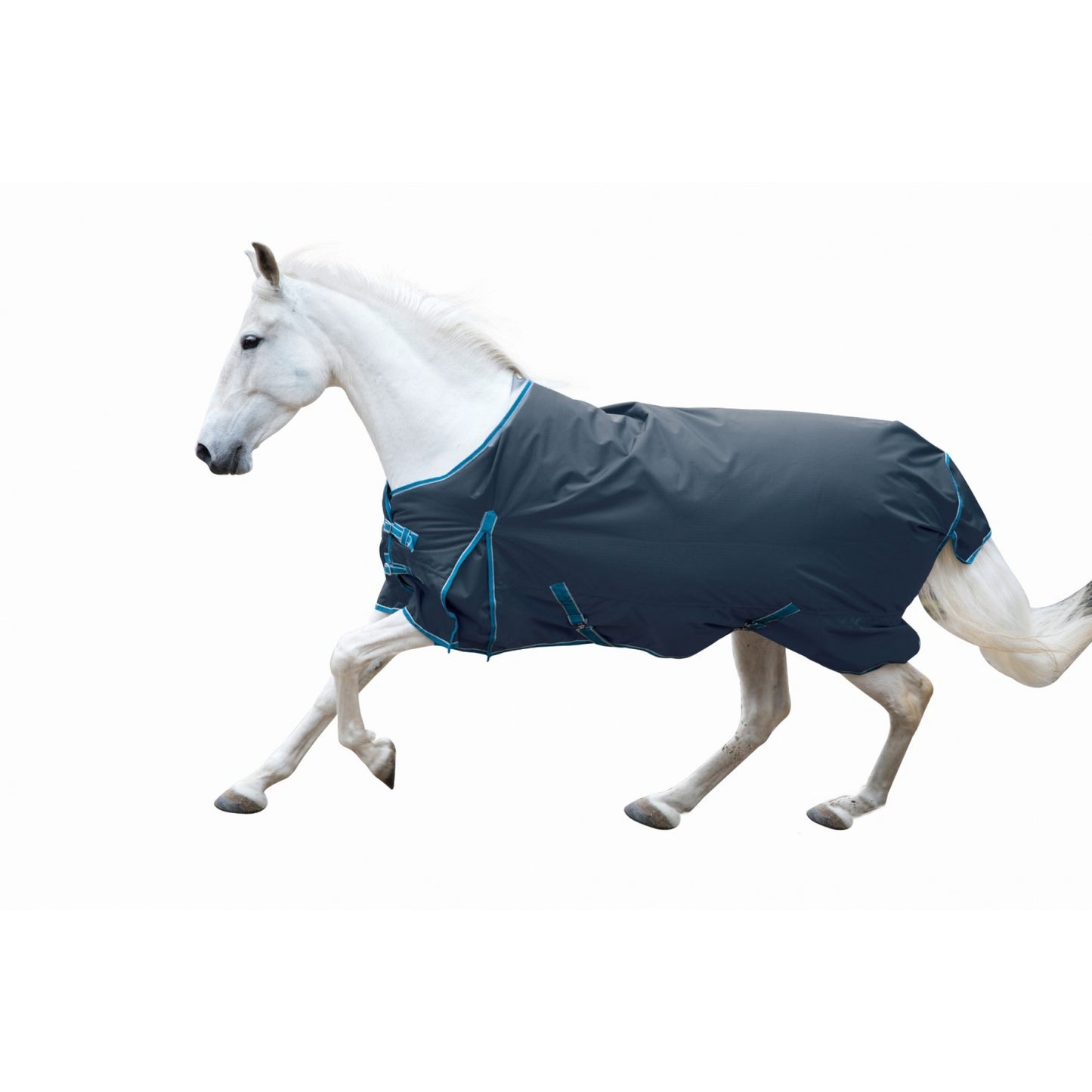 Century Eco 600D 300g turnout blanket