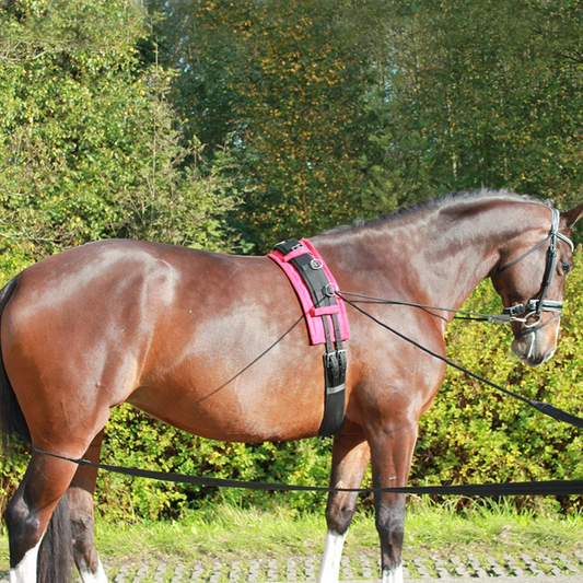 Rêne double longe QHP