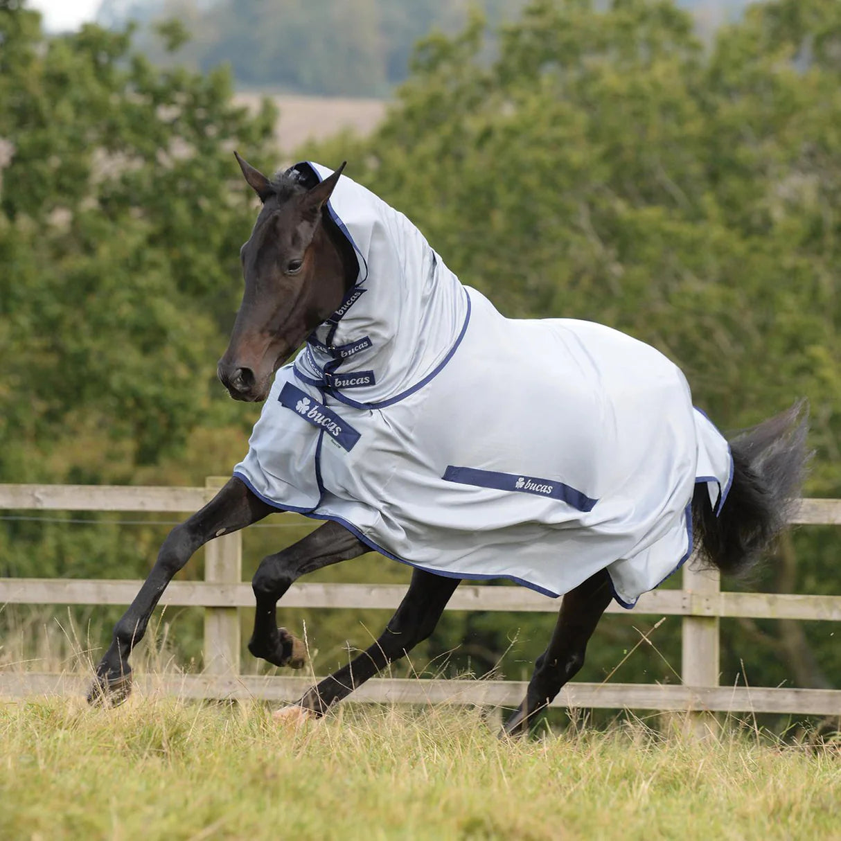 Bucas Buzz Off Neck fly sheet