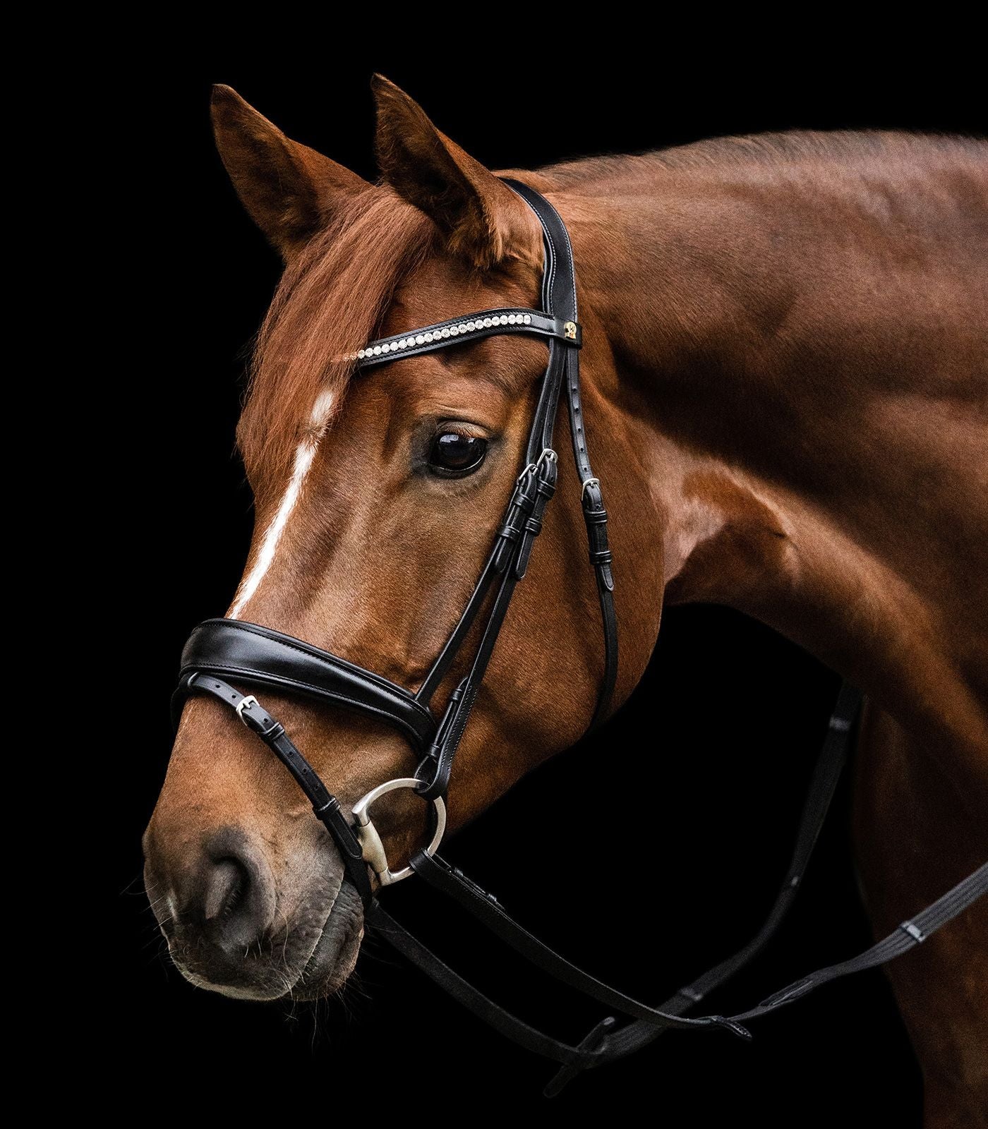 Waldhausen S-Line Essential bridle - Full