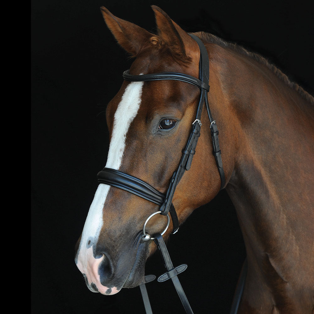 Collegiate Mono Crown Padded Raised Cavesson bridle