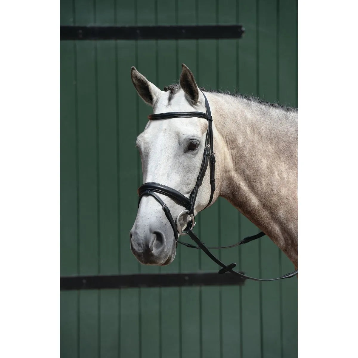 Collegiate Essential Padded Raised Flash bridle - Full